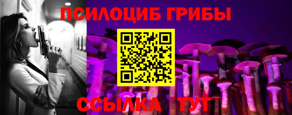 Псилоцибиновые грибы мухоморы  Вход с VPN  Кандалакша 